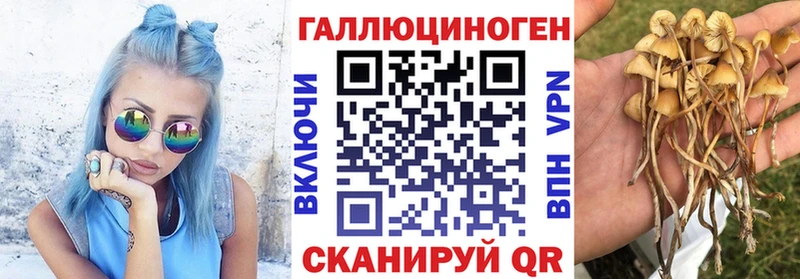 где найти   Устюжна  darknet состав  Галлюциногенные грибы прущие грибы 