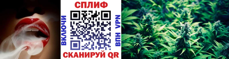 блэк спрут ссылки  Устюжна  Шишки марихуана тримм 